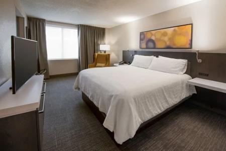 Hilton Garden Inn Las Colinas - 49