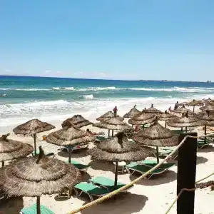 Thalassa Mahdia - 50