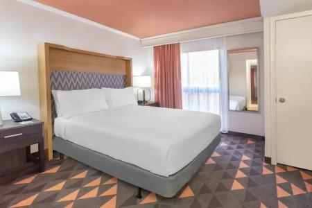 Holiday Inn & Suites - North - 4