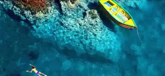 Il Cavalluccio Marino Fronte Mare - 18