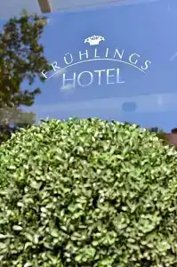 Frühlings-Hotel - 40