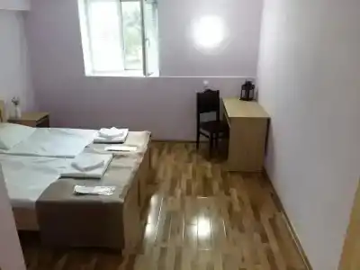 Green House - 2
