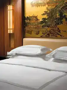 Zhejiang Xizi - 172