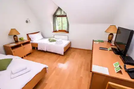 Eco Friendly Dália - 19