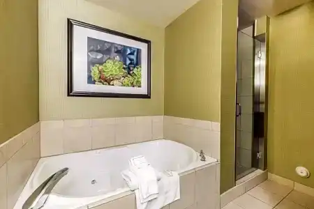 Hilton Garden Inn - 65