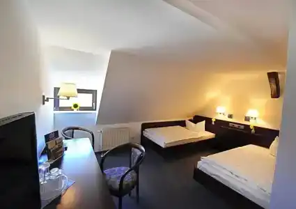 Goldener Adler - 30