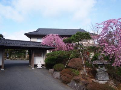 Yoshimatsu - 19