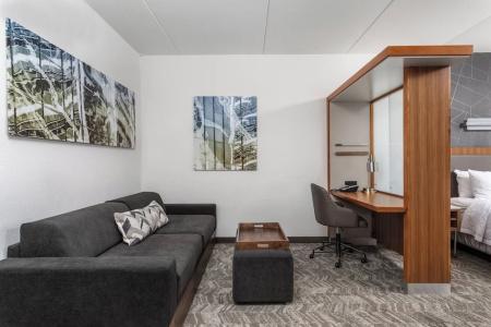SpringHill Suites by Marriott Downtown/Cameron Harbor - 47