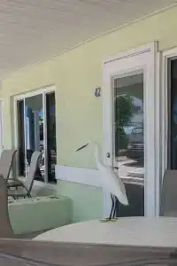 A Beach Retreat on Casey Key - 148