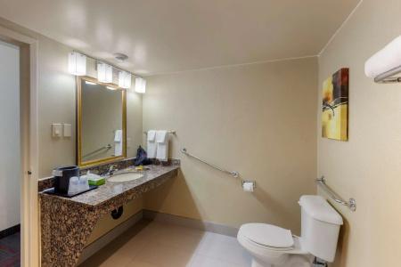 Best Western Plus Toronto Airport - 8