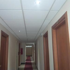 Robinia - 14