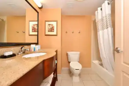Hampton Inn and Suites South - 45