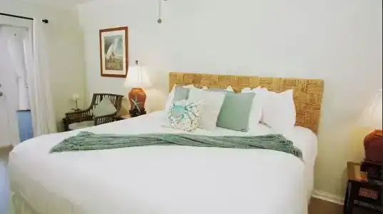 Coconut Palm Inn - 67