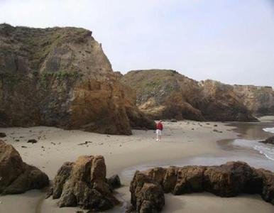 Beachcomber - 11