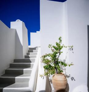 Pantelia Suites - 135