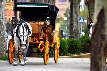 Toc Sevilla - 15