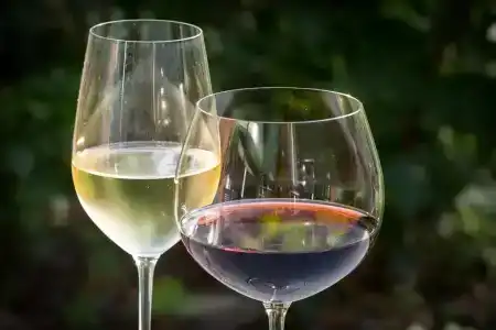 Schroeders Wein-Style-Hotel - 7