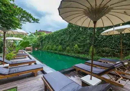 Sapodilla Ubud - 15