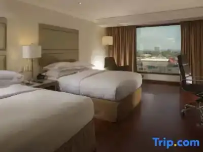 Hilton Guadalajara - 62