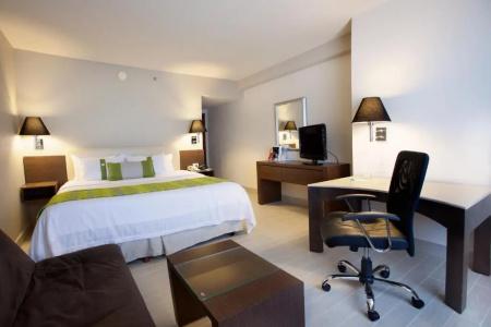 Holiday Inn Puebla La Noria, An Ihg - 56