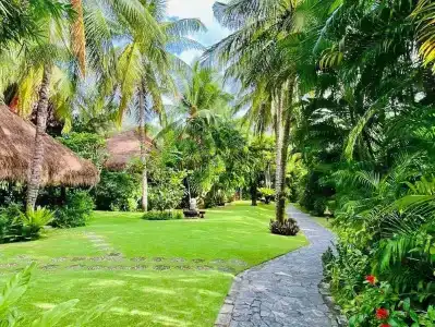 Cham Villas Resort - 42