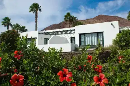 Palmeras Garden - 286
