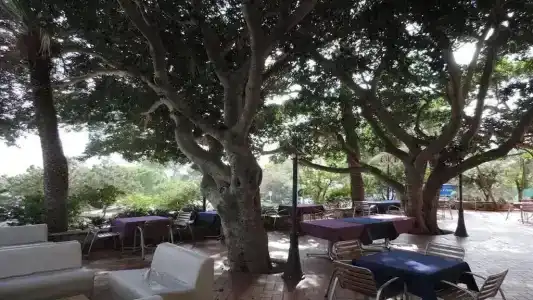 Albergo Miramare - 7