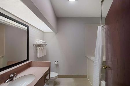 Quality Inn & Suites Dfw Airport South - 82