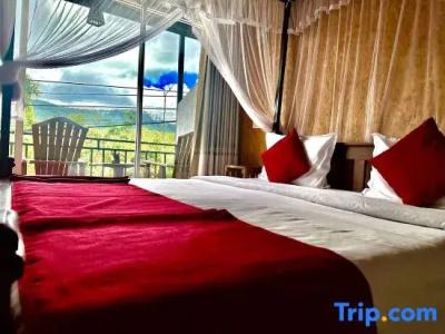 The Ella Nature Life Guest Inn - 50