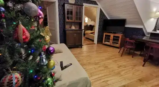 Соседи Пушкина - 3