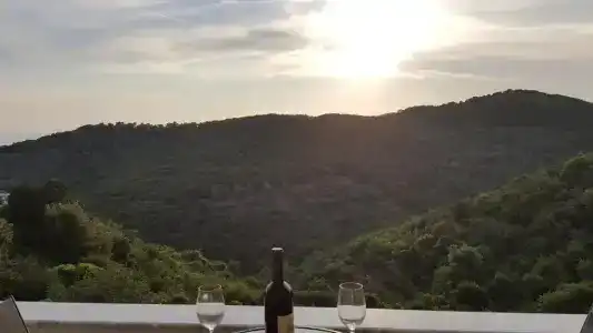 Belvedere - 84