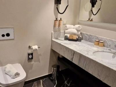 Mercure Orléans Centre Bords de Loire - 97