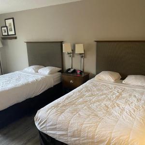Rodeway Inn Airport - 33
