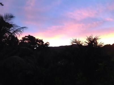 A Peace In Paradise - 12