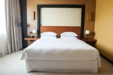 Four Points by Sheraton Kecskemet & Conference Center - 46