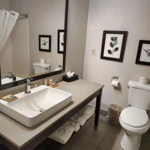 Country Inn & Suites by Radisson, Indianapolis South, IN - 8