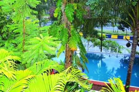 Tropical Hill Kep Cambodia - 13