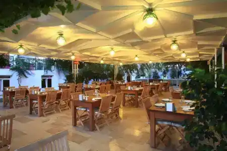 Catamaran - 26