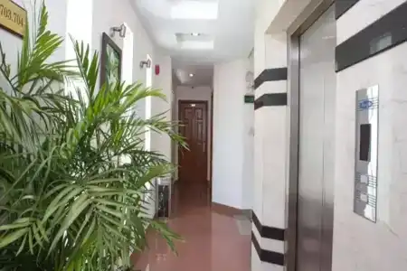HỒNG HẠC - 14