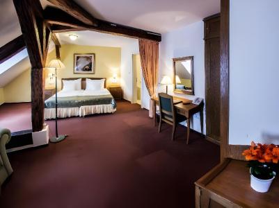 Dvorak Cesky Krumlov - 23