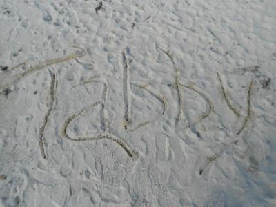 Tabby - 11