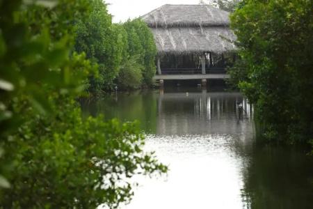 Mangrove Beach Chalets - 9