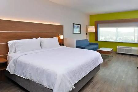 Holiday Inn Express Orlando - South Park, An Ihg - 111