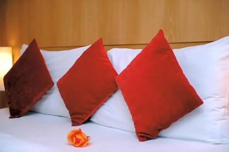 Ibis Marrakech Palmeraie - 57