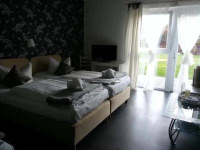 Lieth-Hotel-Grünreich - 88