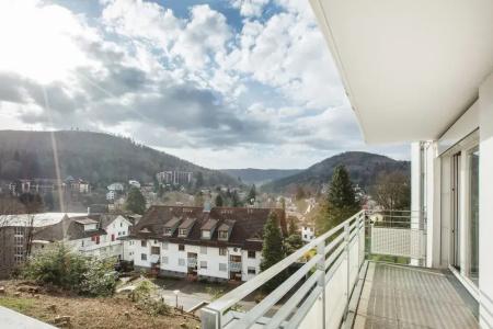 Schwarzwald Panorama - 107