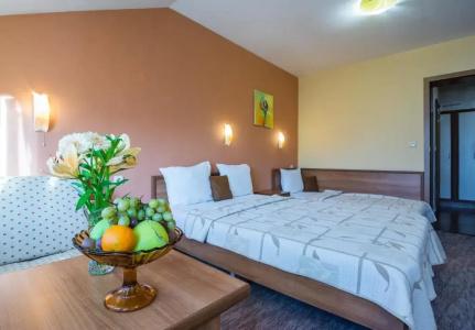 Boutique Guest House Ikonomov - 17