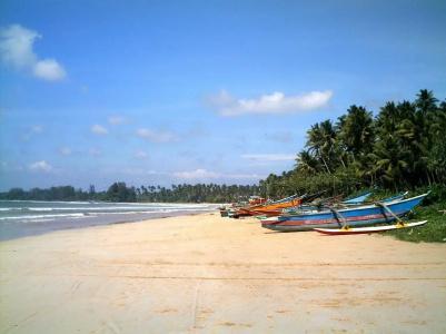 Weligama Ocean Breeze - 8