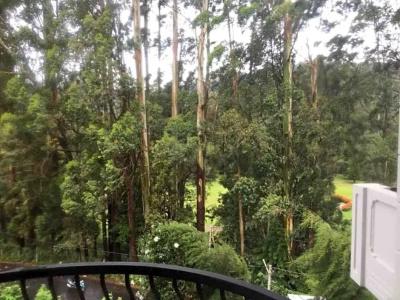 Panorama Green View Nuwara Eliya - 23