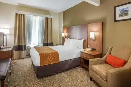 Comfort Suites Walnut Creek - 39